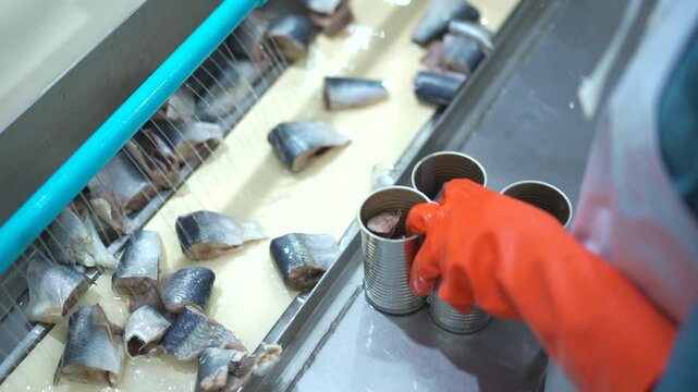 A worker in a canned fish factory washes processed fish before placing them into aluminum cans"