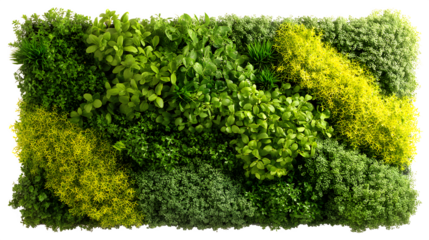 A vertical garden panel with various tiny plants, isolated on Transparent background