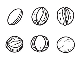 simple nuts line art for clean design