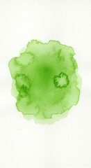 Green Watercolor Stain on White Textured Paper Background