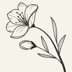 branch of cherry blossom,  illustration of a lily, illustration of a flower, abstract floral background