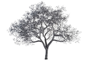 Wireframe Tree Isolated, cut out transparent