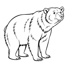 Formosan Black Bear Illustration