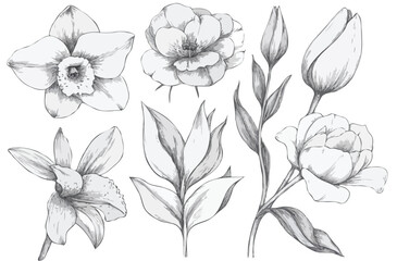 set of floral elements