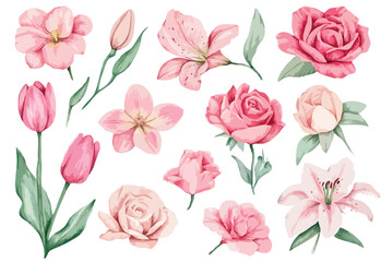 set of floral elements