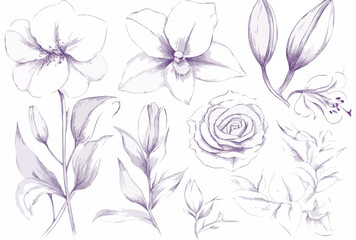 set of floral elements