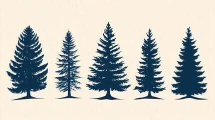 Fototapeta premium Silhouettes of Pine Trees (1)