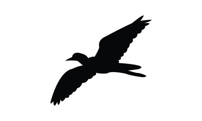 Flying African wattled lapwing bird Silhouette Design  And Vector Illustration. 