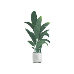 Watercolor style Bird of Paradise plant in a white ceramic pot. Decorative indoor foliage perfect for botanical design, home decor, and nature-themed illustrations.