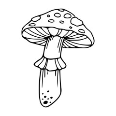 toadstool outline graphic