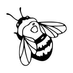 buzzing bee vector art