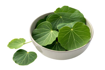 Fototapeta premium Isolated fresh green basil herb leaves and spinach leaves, a natural food ingredient on white