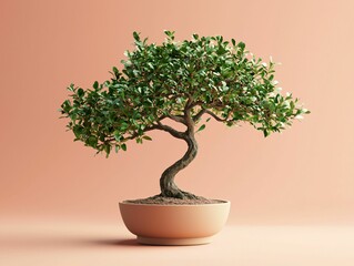 Bonsai Serenity