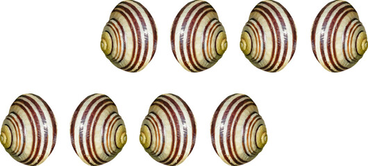 fabric41