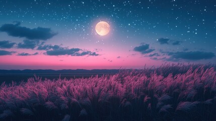 Full moon and Japanese pampas grass in midnight,The harvest Miscanthus sinensis and full moon,beautiful night sky in the countryside with the perfect moon exudes beauty in the dark.