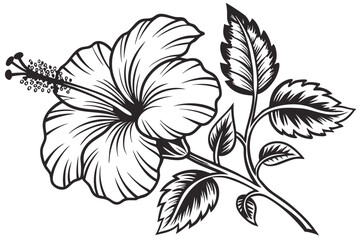 67 Black and white botanical illustration, hibiscus flower, intricate woodcut style, high contrast, detailed petals and leaves, vintage engraving technique, bold linework, tropical floral design, symm