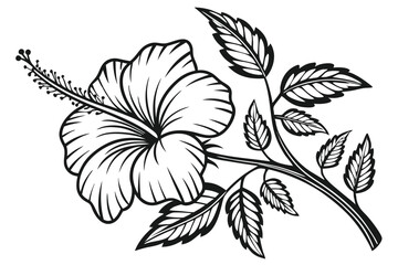 67 Black and white botanical illustration, hibiscus flower, intricate woodcut style, high contrast, detailed petals and leaves, vintage engraving technique, bold linework, tropical floral design, symm