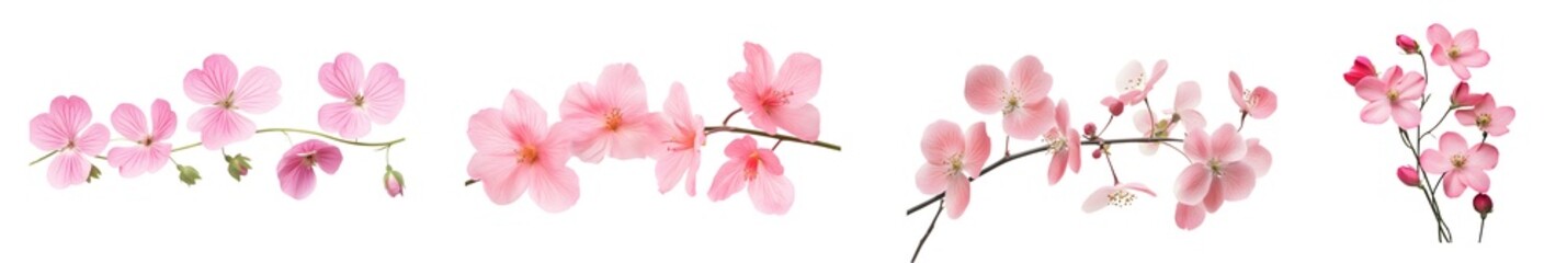 white bowl brimming with yogurt, topped with fresh raspberries and blueberries, and garnished with mint leaves. The vibrant colors create a visually appealing presentation.
