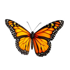 Fototapeta premium Monarch Butterfly, Open Wings, Orange Coloration, Lepidoptera, cut out transparent