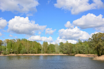 Scenic view of a lake surrounded by trees under a blue sky with fluffy clouds