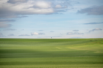 Obraz premium Scenic landscape panorama hunting seat on green meadow natural reserve Germany under a cloudy blue sky on a summer day