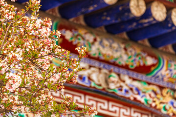 Obraz premium The flowers in the temple