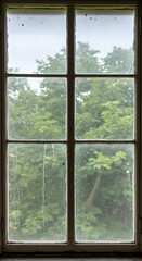 Photo of Rainy Window View Of Green Trees In Daylight Exterior
