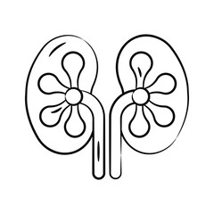 An icon of kidneys diagram designed in hand drawn style
