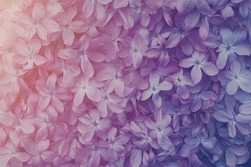 Close-up view of a profusion of delicate, pastel-toned flowers.