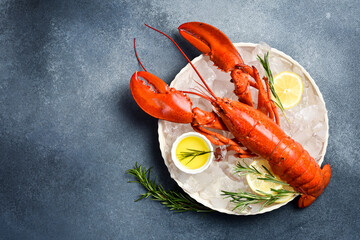 Steamed lobster in a plate with ice and lemon. Top view. Close-up.