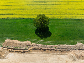 Aerial drone view of beautiful yellow fields rapeseed.Village country farming shapes in fields....