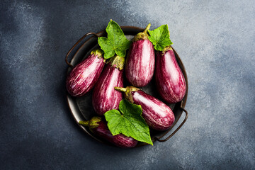Organic fresh eggplants. Close-up of purple eggplants. Top view. On a gray concrete background.