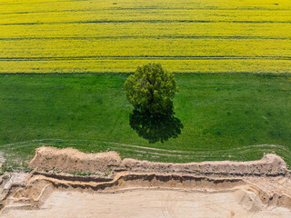 Aerial drone view of beautiful yellow fields rapeseed.Village country farming shapes in fields....