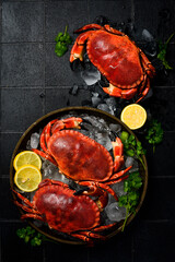 Crab. Three boiled red crabs on a plate, ready to eat. Close-up.