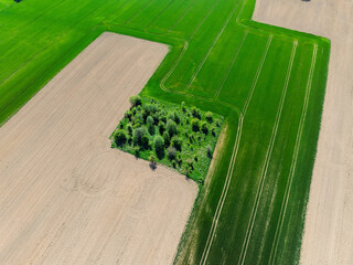 Aerial drone view of beautiful yellow fields rapeseed.Village country farming shapes in fields....