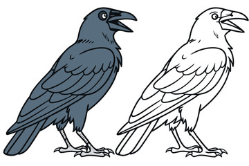 76 Cartoon crows, side-by-side comparison, black and white outline, colored illustration, corvid anatomy, detailed feathers, sharp beaks, intelligent eyes, perched birds, educational diagram, ornithol