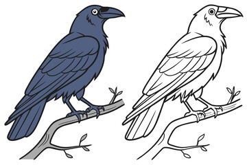76 Cartoon crows, side-by-side comparison, black and white outline, colored illustration, corvid anatomy, detailed feathers, sharp beaks, intelligent eyes, perched birds, educational diagram, ornithol