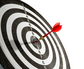 dart on target on white background