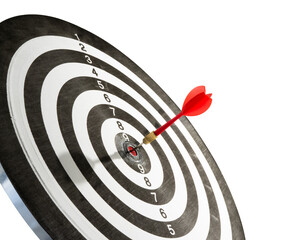 dart on target isolated