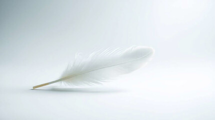 Obraz premium Ethereal fine art photograph of a single white feather on a white background, soft contrast, gentle color contrasts, creating a dreamlike atmosphere with a light aura and mystical feeling.jpg
