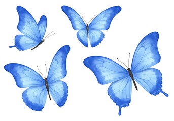 Blue Butterfly Collection, Isolated on White