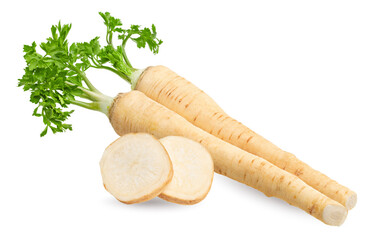 fresh parsley root isolated on white background. clipping path