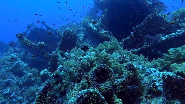 Egypt Red Sea - BDE - Discovering a wreck surrounded with a lot of corals