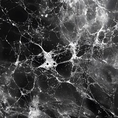 Intricate Spiderweb Texture with Bubbles Black and White Abstract Background Nature Detail