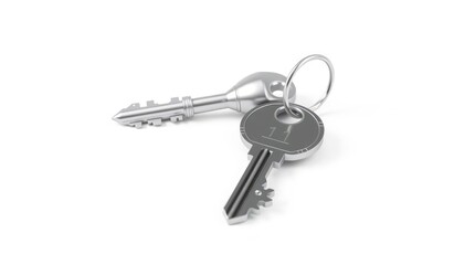 Two metal keys rest on a white surface, one with a keyring, conveying safety and security.