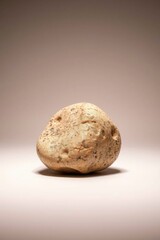 Fototapeta premium Studying Single Weathered Rock Formation in Studio with Neutral Background