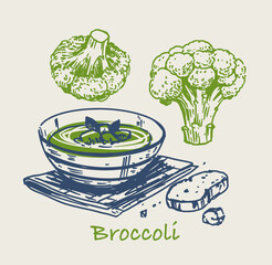 Broccoli, soup puree. Doodle style illustrations, vector sketches