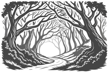 93 Intricate black and white forest illustration, detailed tree trunks, arching branches, dense foliage, tree tunnel, winding path, mystical atmosphere, fantasy woodland, pen and ink style, high contr
