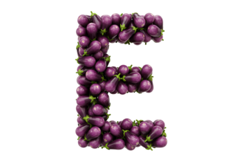 Eggplant Letter E isolated on transparent background