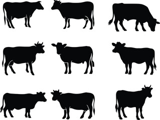 cow silhoutte